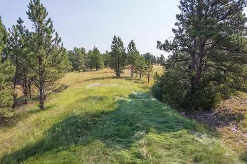 26981 Highway 89, Custer, SD 57730 photo 19