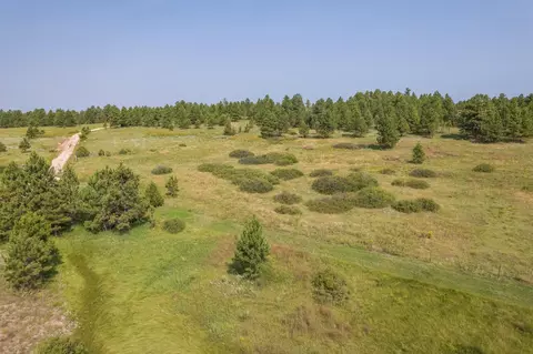 26981 Highway 89, Custer, SD 57730 photo 4