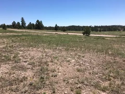 Undisclosed, Custer, SD 57730 photo 6
