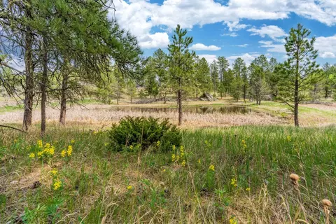 Tbd Star Valley Drive, Custer, SD 57730 photo 5