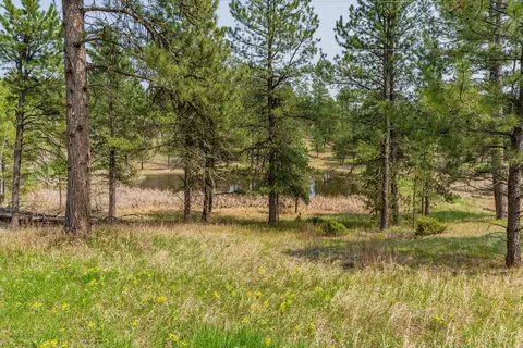 Tbd Star Valley Drive, Custer, SD 57730 photo 3