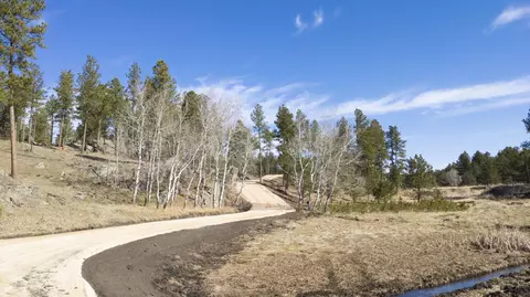 Tbd Star Valley Drive, Custer, SD 57730 photo 16