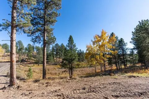 Tbd Star Valley Drive, Custer, SD 57730 photo 15