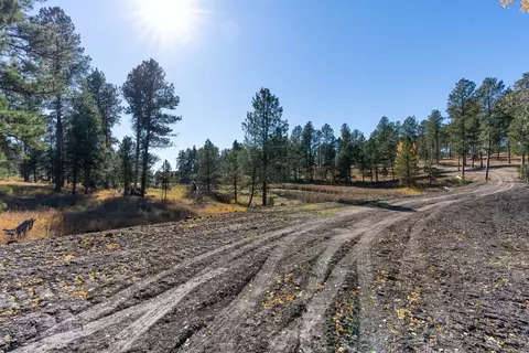 Tbd Star Valley Drive, Custer, SD 57730 photo 26
