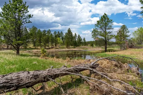 Tbd Star Valley Drive, Custer, SD 57730 photo 2