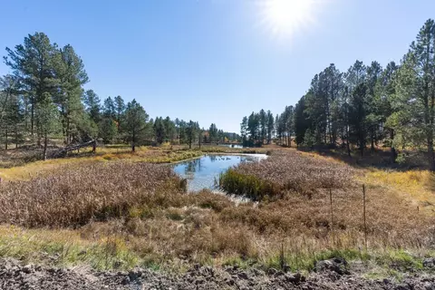 Tbd Star Valley Drive, Custer, SD 57730 photo 13