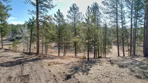 Tbd Star Valley Drive, Custer, SD 57730 photo 18