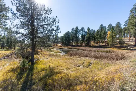 Tbd Star Valley Drive, Custer, SD 57730 photo 10