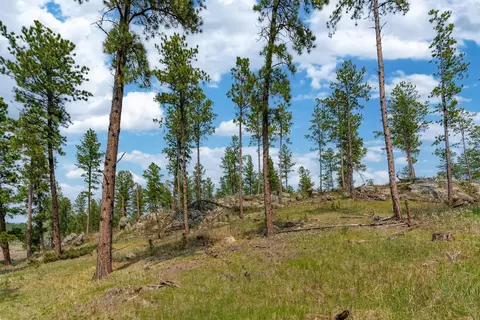 Tbd Star Valley Drive, Custer, SD 57730 photo 14