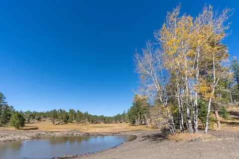 Tbd Star Valley Drive, Custer, SD 57730 photo 9