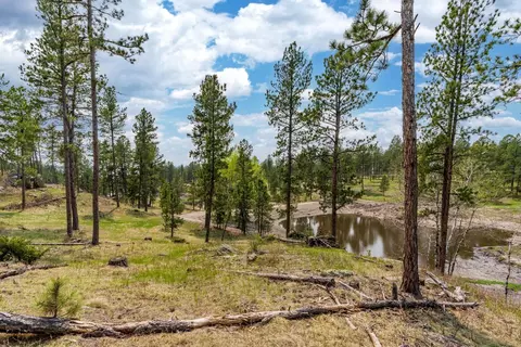 Tbd Star Valley Drive, Custer, SD 57730 photo 8