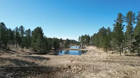 Tbd Star Valley Drive, Custer, SD 57730 photo 19