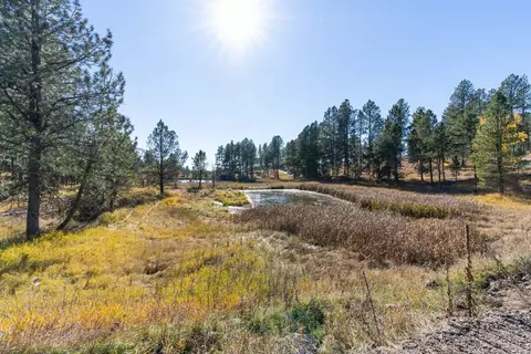 Tbd Star Valley Drive, Custer, SD 57730 photo 12
