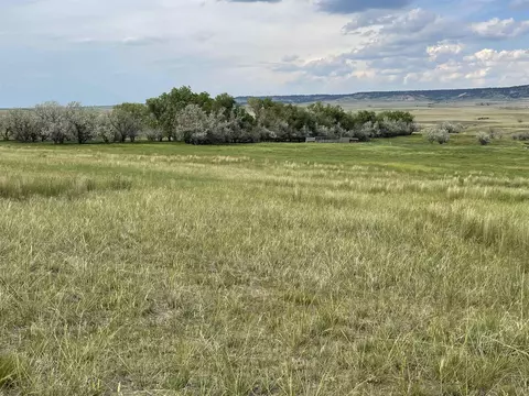 11389 Dillon Ave, Buffalo, SD 57720 photo 28