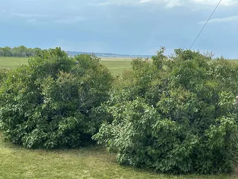 11389 Dillon Ave, Buffalo, SD 57720 photo 10