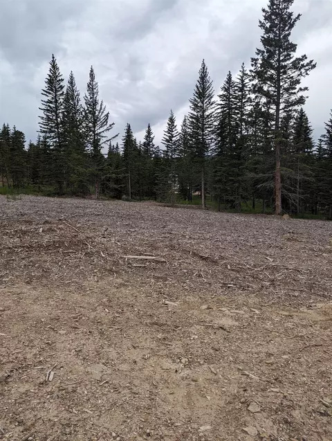 Tbd Trailside Road, Lead, SD 57754 photo 2