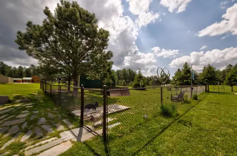 12349 Moss Rock Ln, Custer, SD 57730 photo 23