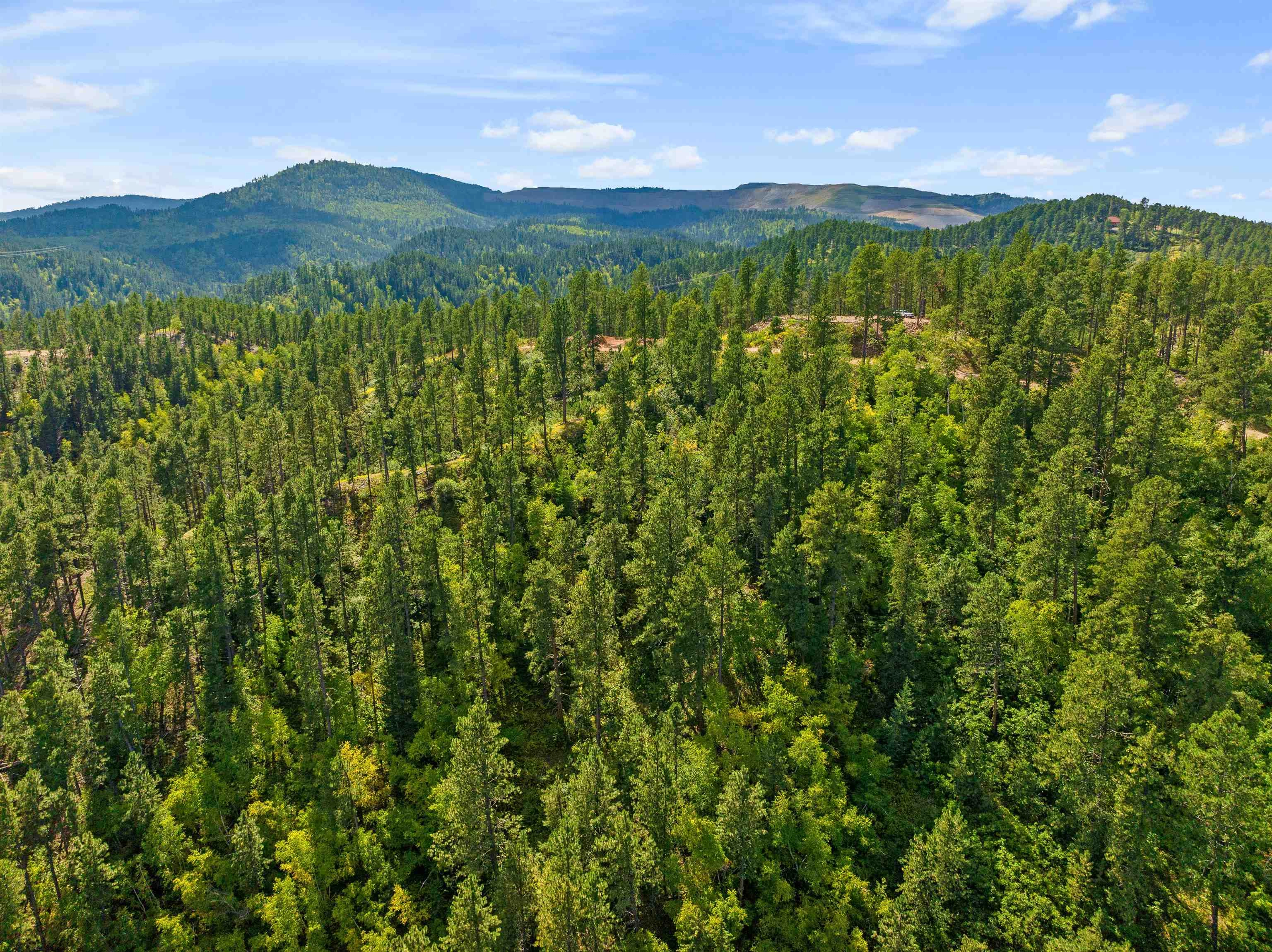 Paris No 1 Lode Cutting Mine Rd  