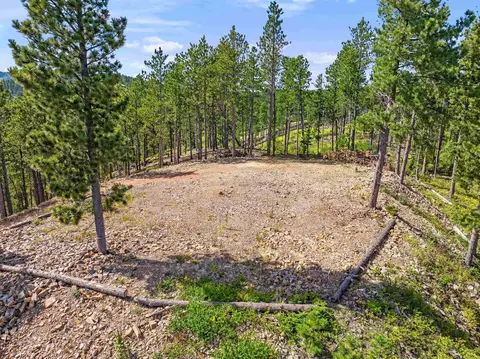 Paris No.1 Lode Cutting Mine Road, Lead, SD 57754 photo 10