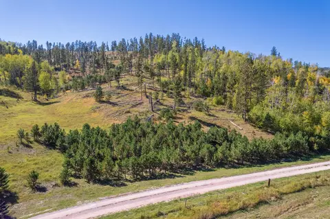 11781 Bear Mountain Dr, Custer, SD 57730 photo 21