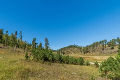 11781 Bear Mountain Dr, Custer, SD 57730 photo 4
