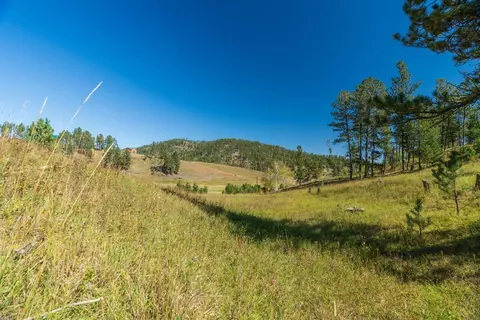 11781 Bear Mountain Dr, Custer, SD 57730 photo 9