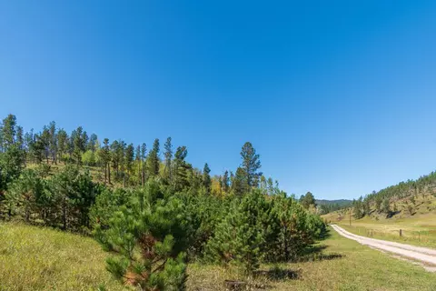 11781 Bear Mountain Dr, Custer, SD 57730 photo 19