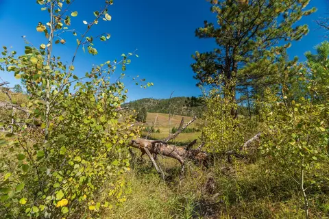 11781 Bear Mountain Dr, Custer, SD 57730 photo 18