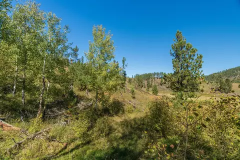 11781 Bear Mountain Dr, Custer, SD 57730 photo 7