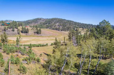 11781 Bear Mountain Dr, Custer, SD 57730 photo 23