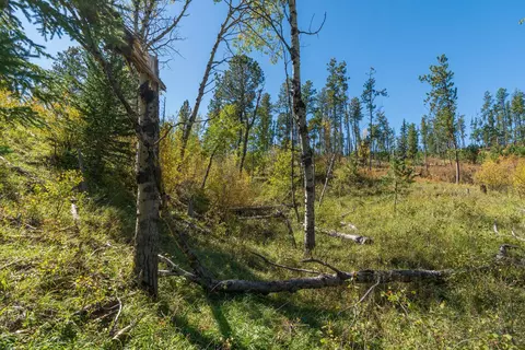11781 Bear Mountain Dr, Custer, SD 57730 photo 10
