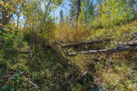 11781 Bear Mountain Dr, Custer, SD 57730 photo 16