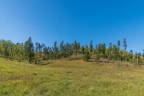 11781 Bear Mountain Dr, Custer, SD 57730 photo 3