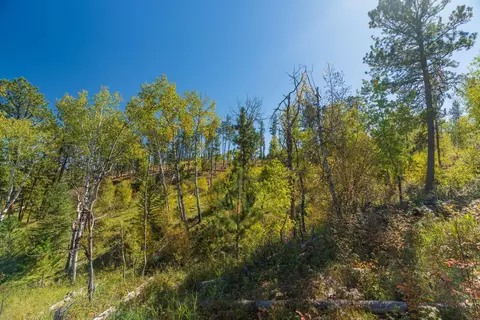11781 Bear Mountain Dr, Custer, SD 57730 photo 11