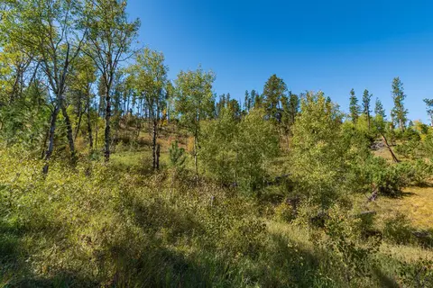 11781 Bear Mountain Dr, Custer, SD 57730 photo 6