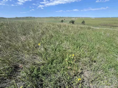 tbd Riata Loop, Box Elder, SD 57761 photo 11