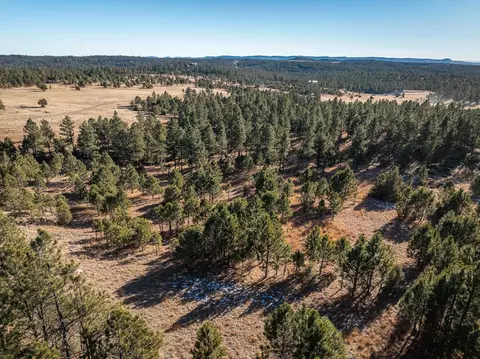 Tract 1 South Park Drive, Custer, SD 57730 photo 20