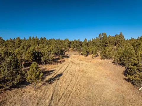 Tract 1 South Park Drive, Custer, SD 57730 photo 9
