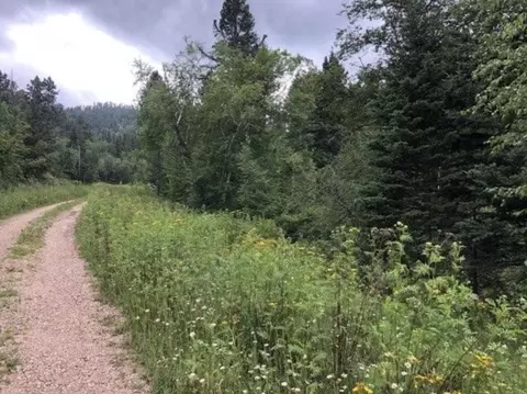 20693 Toboggan Hill Rd, Lead, SD 57754