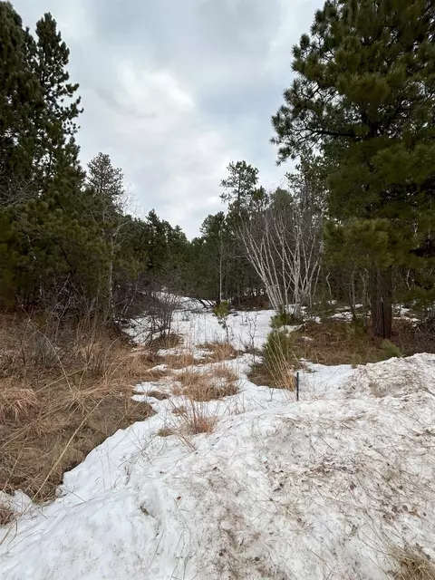 Tbd Monte Carlo Road, Lead, SD 57754 photo 10