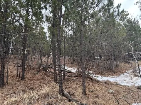 Tbd Monte Carlo Road, Lead, SD 57754 photo 12