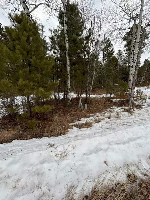 Tbd Monte Carlo Road, Lead, SD 57754 photo 11