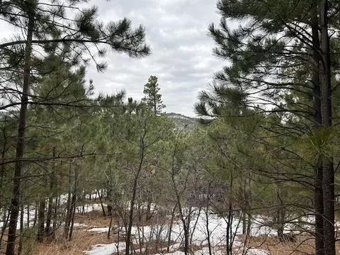 Tbd Monte Carlo Road, Lead, SD 57754 photo 3