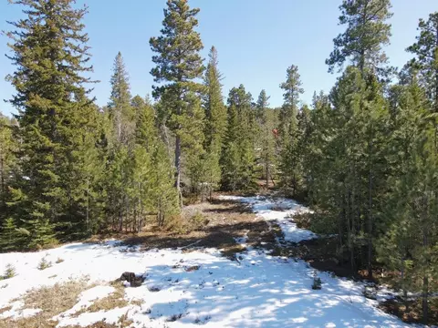 M.s. 1096 Wasp Road, Lead, SD 57754 photo 6