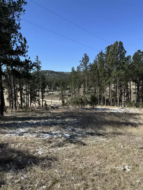Tbd5 Danby Park Trail, Custer, SD 57730 photo 3