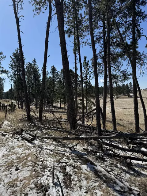 Tbd5 Danby Park Trail, Custer, SD 57730 photo 11