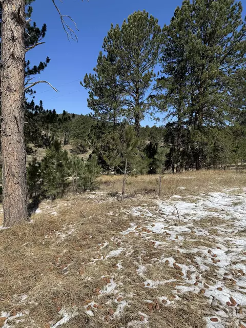 Tbd5 Danby Park Trail, Custer, SD 57730 photo 2
