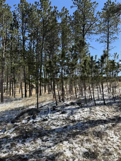 Tbd5 Danby Park Trail, Custer, SD 57730 photo 9