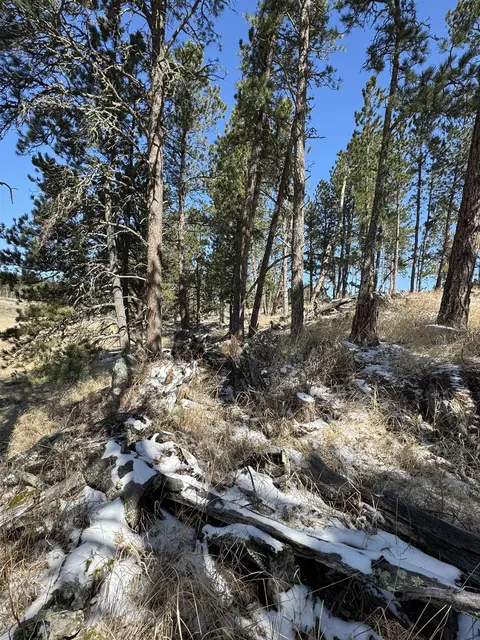 Tbd5 Danby Park Trail, Custer, SD 57730 photo 10