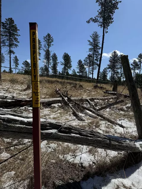Tbd5 Danby Park Trail, Custer, SD 57730 photo 5